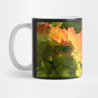 Autumn Maple Leaf Mug